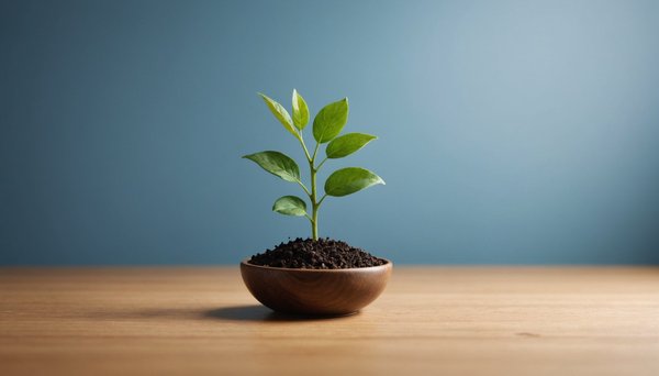 Comment développer sa croissance avec les stratégies digitales efficaces